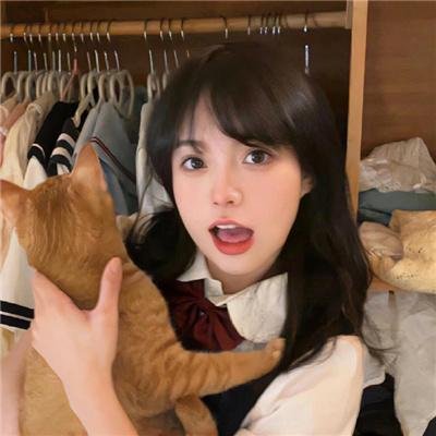 护垫侠